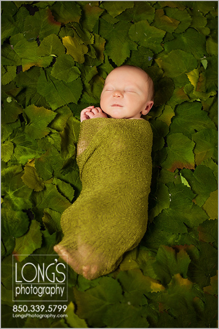 Tallahassee newborn photography