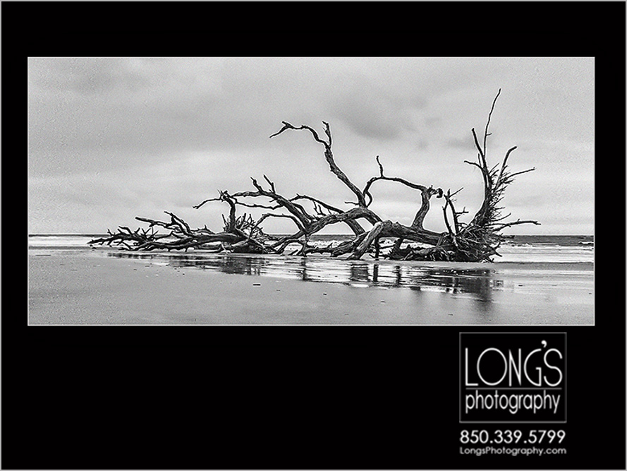 Award winning Jekyll island photograph