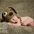 Tallahassee newborn photos