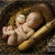 Tallahassee newborn baby photography