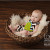 Tallahassee baby plan photos
