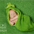 Tallahassee newborn baby photos