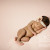 Newborn photos Tallahassee