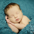 Newborn photography Tallahassee