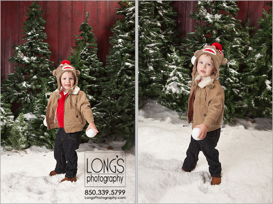Tallahassee holiday photography special